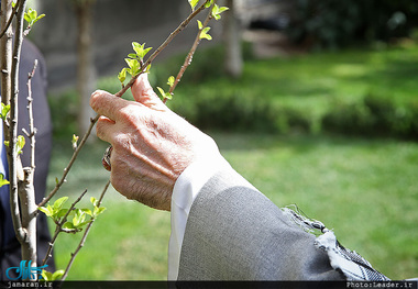 تاکیدات رهبر انقلاب در مورد تخریب محیط زیست و انتظارات از مسئولین/ مجابی: سیاست ها را به قانون تبدیل کرده ایم