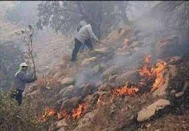 6 هکتار از مراتع بردسیر در آتش سوخت