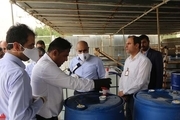 کارگاه تولید محلول ضدعفونی در منطقه ویژه پارس راه‌اندازی شد