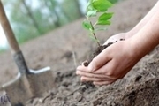 کاشت درخت و گل در زندان بروجرد به مناسبت هفته درختکاری