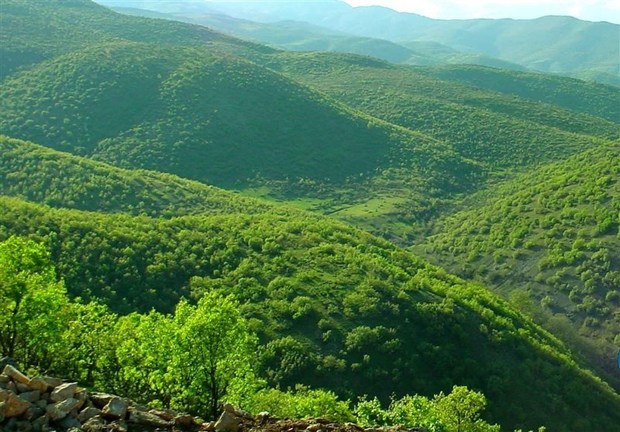 تجلی زیبای بهار در طبیعت بکر شهرستان ایوان