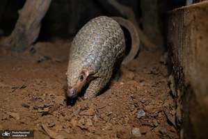 منتخب تصاویر امروز جهان- 4 مهر