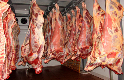 واردات گوشت تا زمان متعادل شدن بازار ادامه دارد