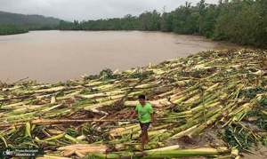 منتخب تصاویر امروز جهان- 6 آبان