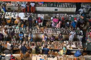 منتخب تصاویر امروز جهان- 22 تیر