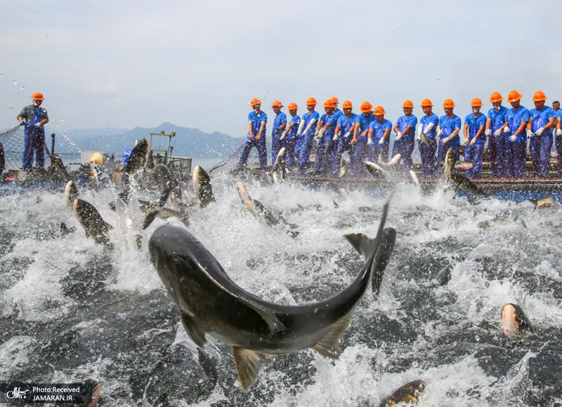 منتخب تصاویر امروز جهان - 2 مهر 1401