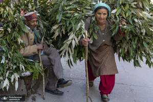 منتخب تصاویر امروز جهان - 19 اسفند 1400