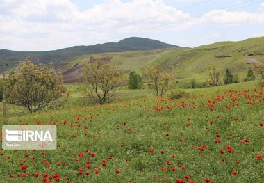 مسیر ناهموار صنعت گردشگری در سلسله