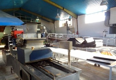 صدور جواز تاسیس واحدهای صنعتی و تولیدی استان بوشهر ۶۲ درصد افزایش یافت