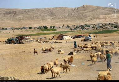 دغدغه تامین آب محله های عشایری گلیل شیروان برطرف شد