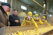 رهبر کره شمالی و سیب زمینی +عکس