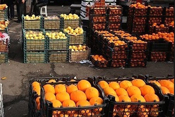 کمبودی در تامین کالاهای اساسی در استان وجود ندارد  آغاز عرضه میوه شب عید از 25 اسفند