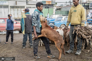 منتخب تصاویر امروز جهان - 21 شهریور 1401