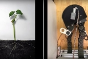 این ربات مانند گیاه رشد می کند