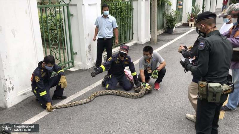 منتخب تصاویر امروز جهان- 25 تیر 1400