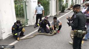 منتخب تصاویر امروز جهان- 25 تیر 1400