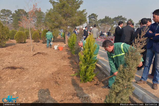 مراسم درختکاری در ۲۰ اسفندماه برگزار می شود