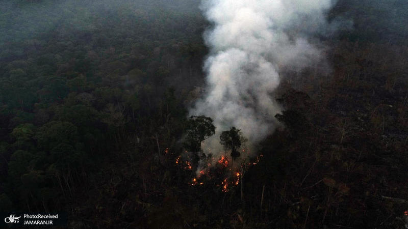 منتخب تصاویر امروز جهان- 20 مرداد