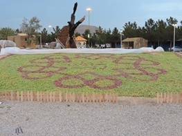 ارومیه میزبان پنجمین جشنواره انگور