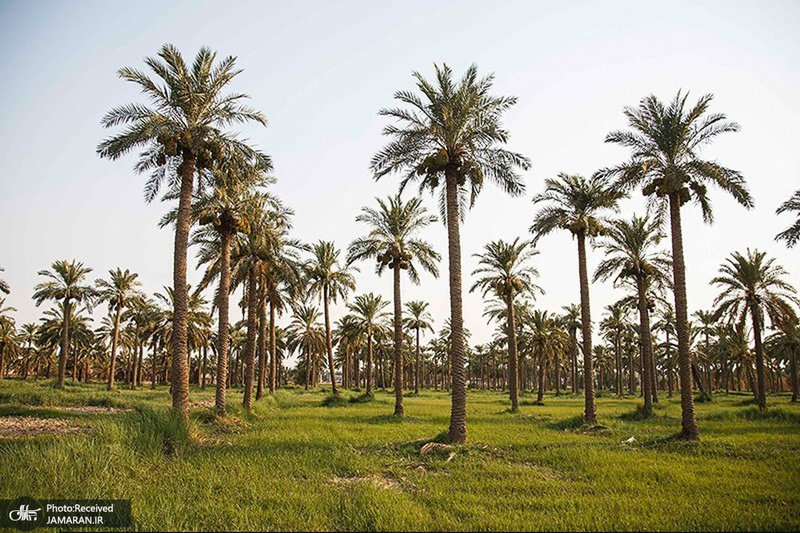 منتخب تصاویر امروز جهان- 29 تیر