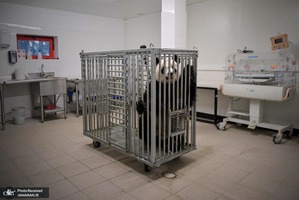 منتخب تصاویر امروز جهان- 2 مرداد 1400