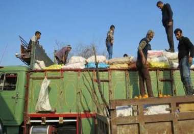 خرید پرتقال درجه 3 از باغداران گلستانی از مرز2900تن گذشت