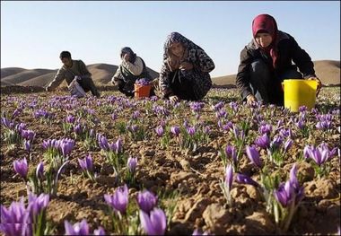 ۲۰ صندوق خرد زنان روستایی در قوچان ایجاد شد