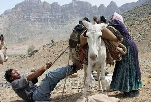 85 هکتار از اراضی قیروکارزین به عشایر واگذار می شود