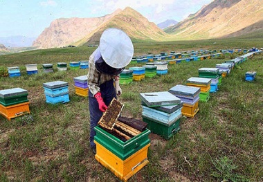 645 طرح روستایی در سامانه کارا استان تهران ثبت شد