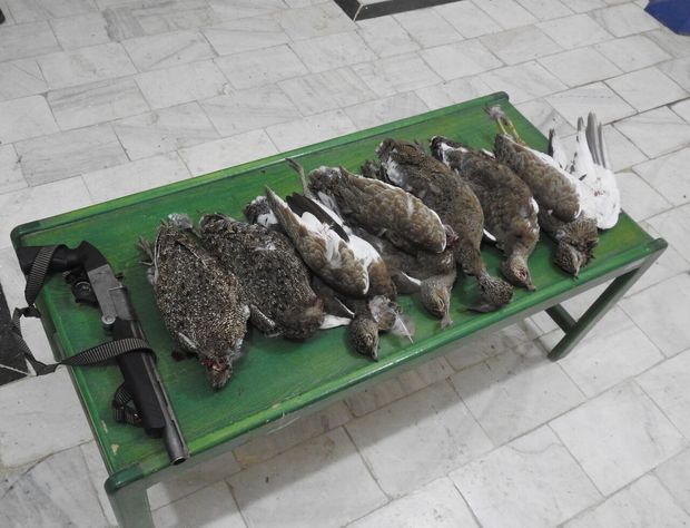 ۶ شکارچی زنگوله‌بال در پارس‌آباد دستگیر شدند
