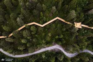 منتخب تصاویر امروز جهان- 19 تیر 1400