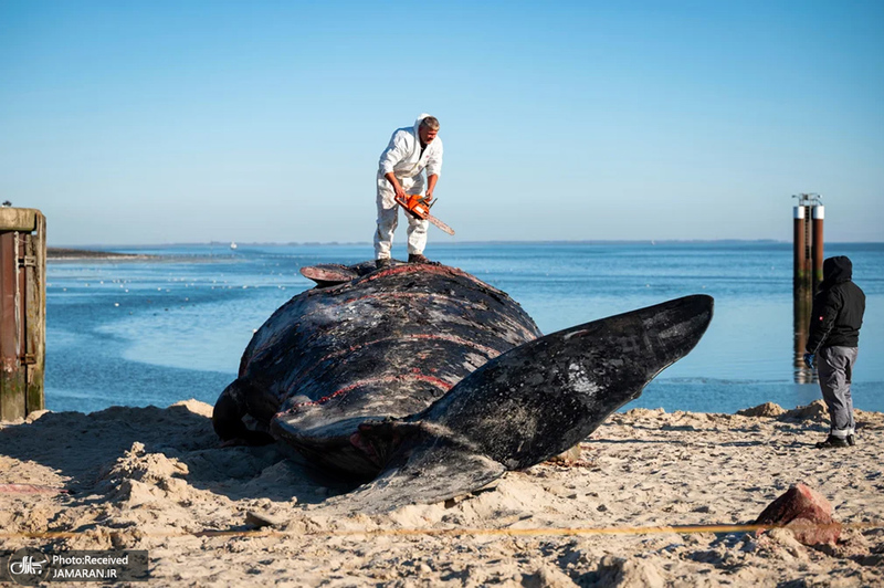 منتخب تصاویر امروز جهان - 1 اسفند 1403