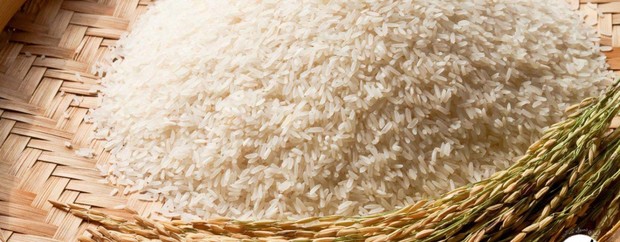 موافقت دولت با ممنوعیت کشت برنج خارج از استان‌های گیلان و مازندران