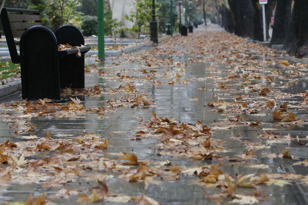 بارش باران در دوگنبدان ۲۲۰ میلیمتر کاهش یافت
