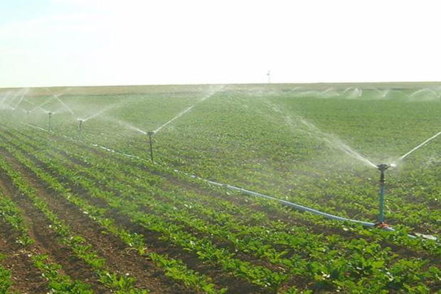 کشاورزی قزوین دارای 332 طرح آبیاری نوین است