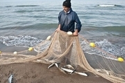 کشف تور و قلاب ماهیگیری صیادان غیرمجاز درالیگودرز