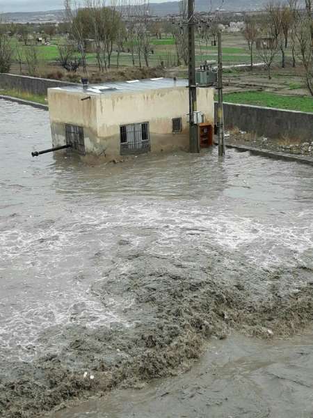 چهار نفر در سیل عجب شیر جان خود را از دست دادند