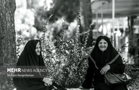 مادران شهدای دفاع مقدس هنوز با یاد و خاطره فرزندانشان زندگی می‌کنند (20)