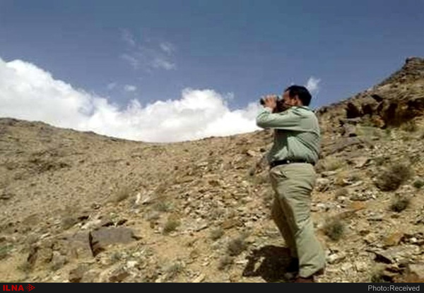 شهادت و زخمی‌شدن محیط‌بانان گلستان در درگیری با شکارچیان غیرمجاز