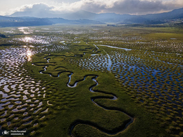 منتخب تصاویر امروز جهان - 21 فروردین 1404