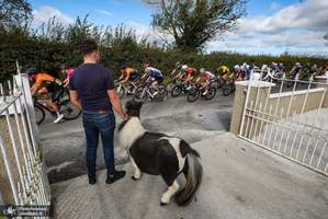 منتخب تصاویر امروز جهان- 14 مهر