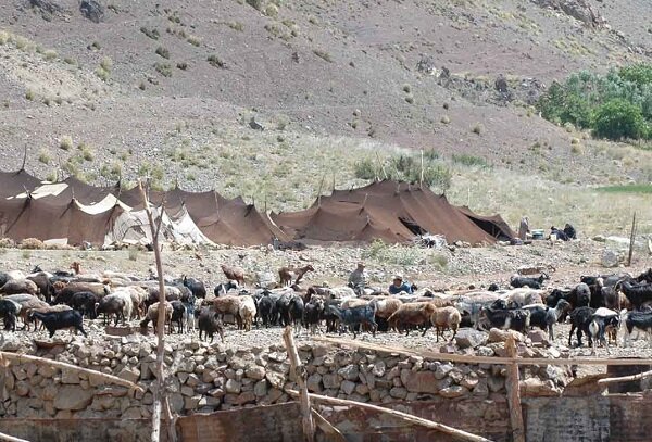 عشایر از کوچ زودهنگام به چهارمحال و بختیاری پرهیز کنند