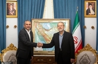 وزیر کشور پاکستان با علی لاریجانی دیدار کرد + تصاویر (1)