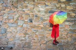 منتخب تصاویر امروز جهان- 24 تیر 1400