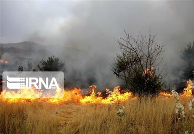 خسارت آتش به منابع طبیعی خراسان شمالی نصف شد