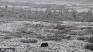 منتخب تصاویر امروز جهان - 1 آبان 1401