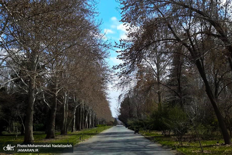 باغ گیاه شناسی ملی ایران