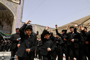 ظهر شهادت امام رضا (ع)