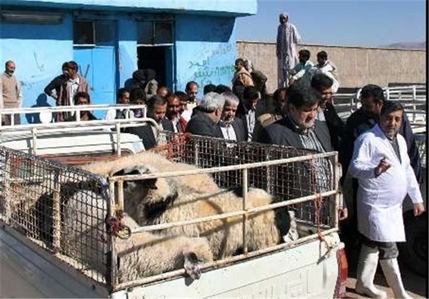 هفت پست قرنطینه در کرمان بر ورود دام و طیور نظارت دارد