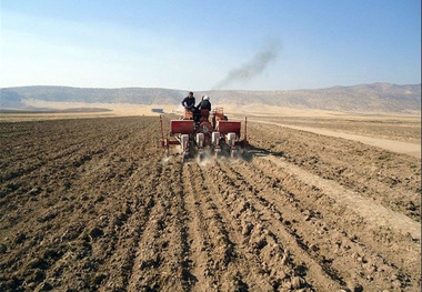 کشاورزان کردستانی در انجام کشت پاییزی تعجیل کنند